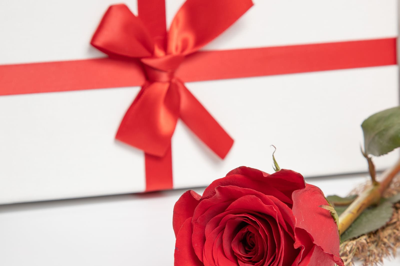 Red rose beside a white gift box wrapped with a red ribbon and bow.